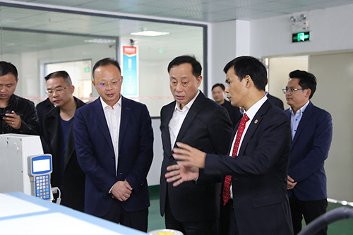 Vicesecretario, Alcalde interino del Comité Municipal de Yongzhou, Zhao Ying Yun y otros líderes visitaron el condado de Dao de LVSUN