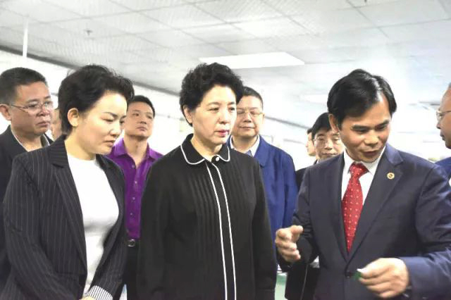 Wu Lan, subsecretario del Comité Provincial de Hunan, visitó LVSUN en el condado de Dao para realizar una investigación.